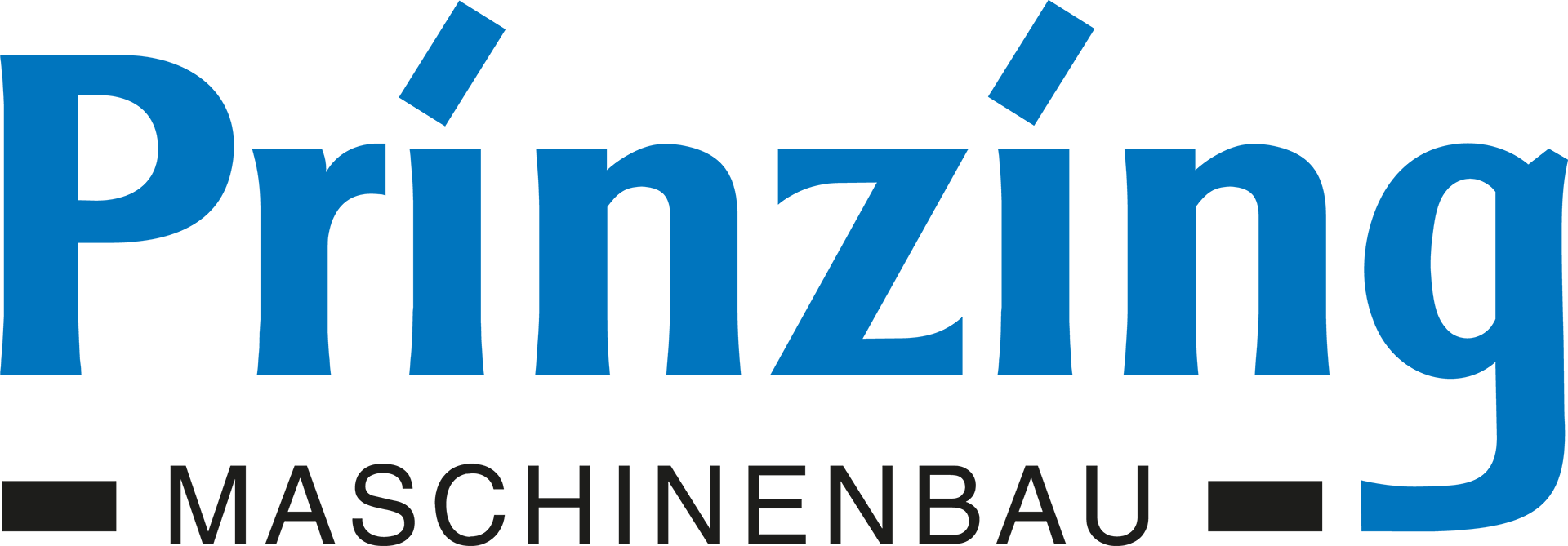 Peter Prinzing GmbH Logo